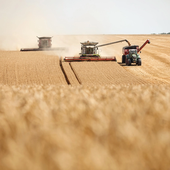 Wilfersdorf Estate & Forestry Operations Liechtenstein Group