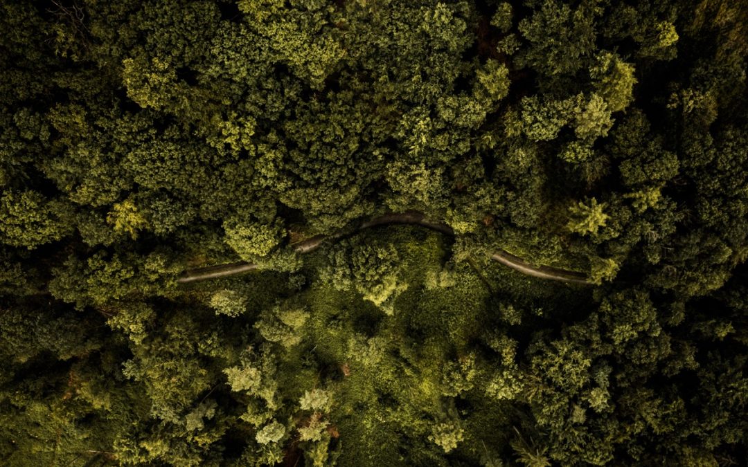 From heaven and earth