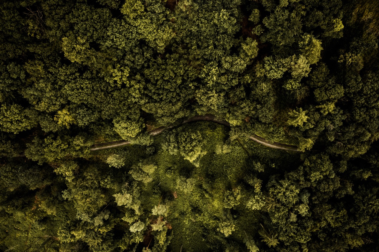 From heaven and earth