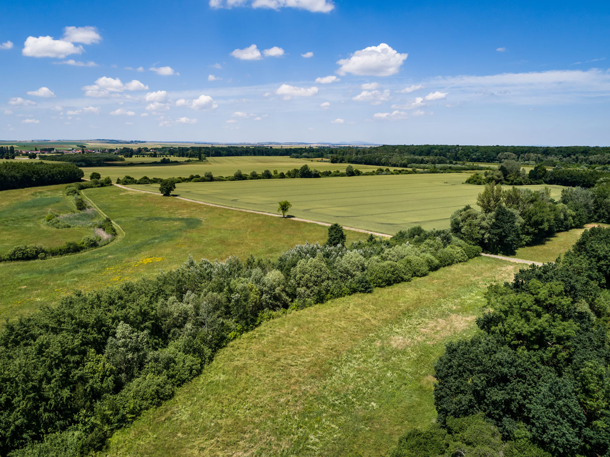 Guts- & Forstbetrieb Wilfersdorf